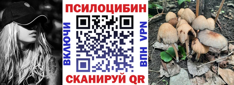 ОМГ ОМГ сайт  Орёл  Псилоцибиновые грибы Psilocybe  хочу  